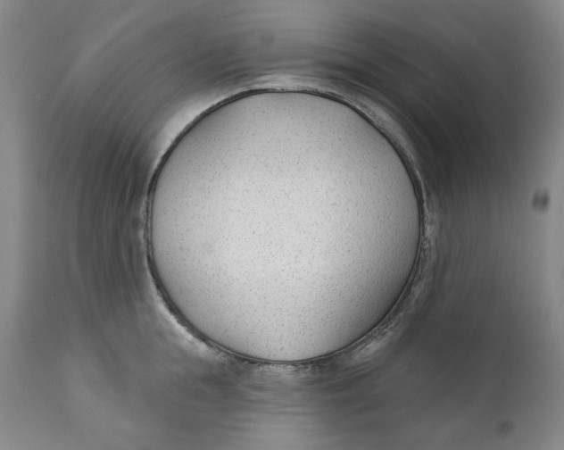 X0000110920855200907091455