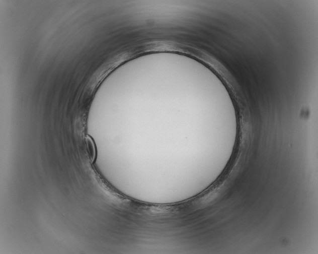 X0000110920857200907091455