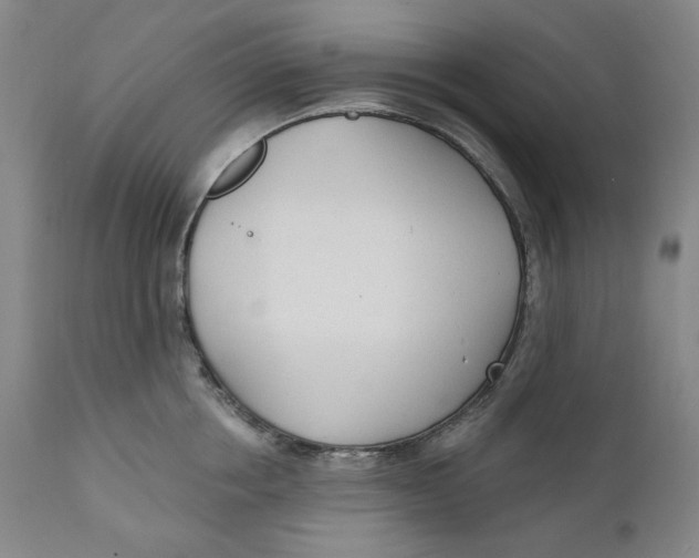 X0000110920858200907091455