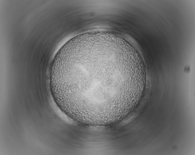 X0000110920859200907091455