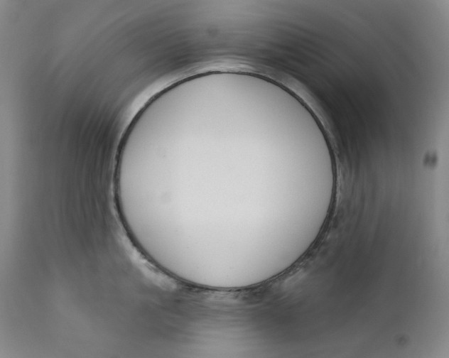 X0000110920861200907091455