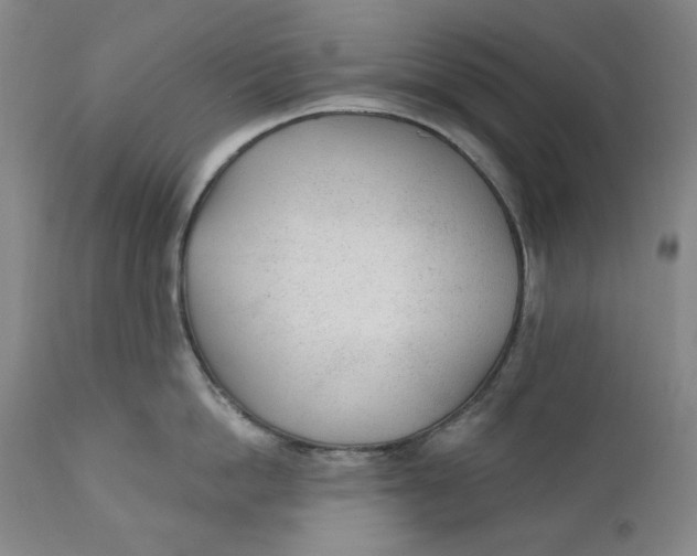 X0000110920862200907091455