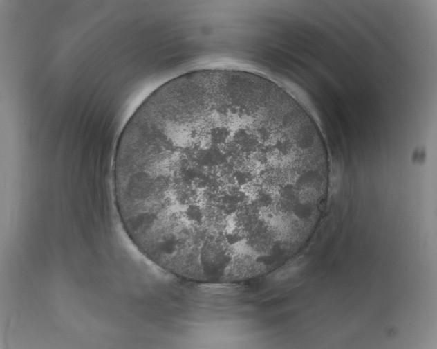 X0000110920863200907091455