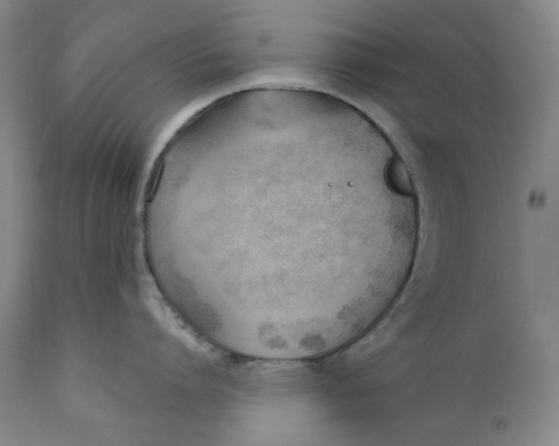 X0000110920864200907091455