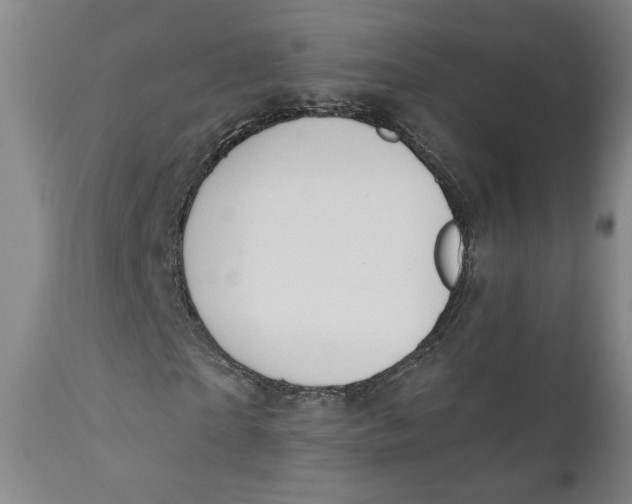 X0000110920865200907091455