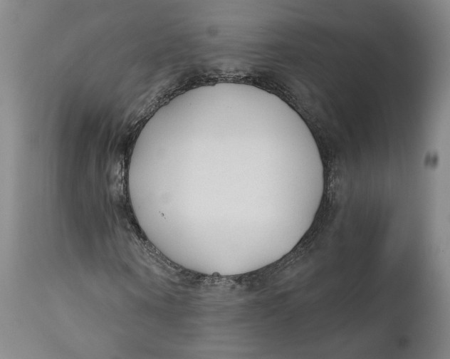 X0000110920866200907091455