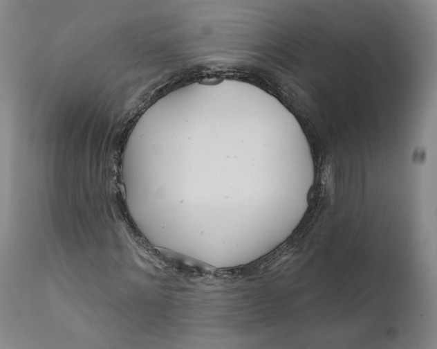 X0000110920868200907091455