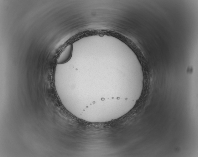 X0000110920871200907091455