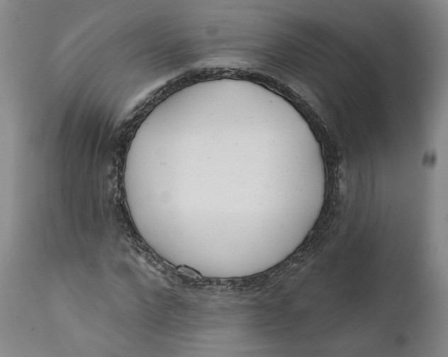 X0000110920872200907091455