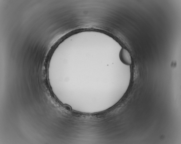 X0000110920876200907091455