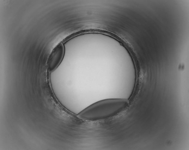 X0000110920877200907091455
