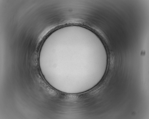 X0000110920878200907091455