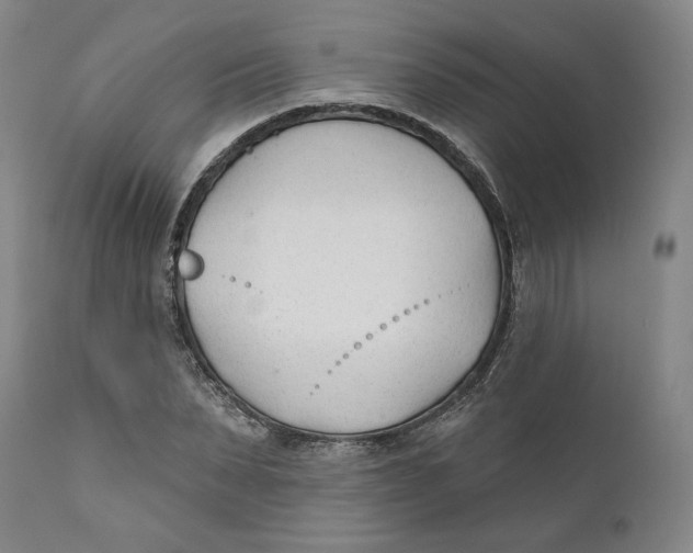 X0000110920879200907091455