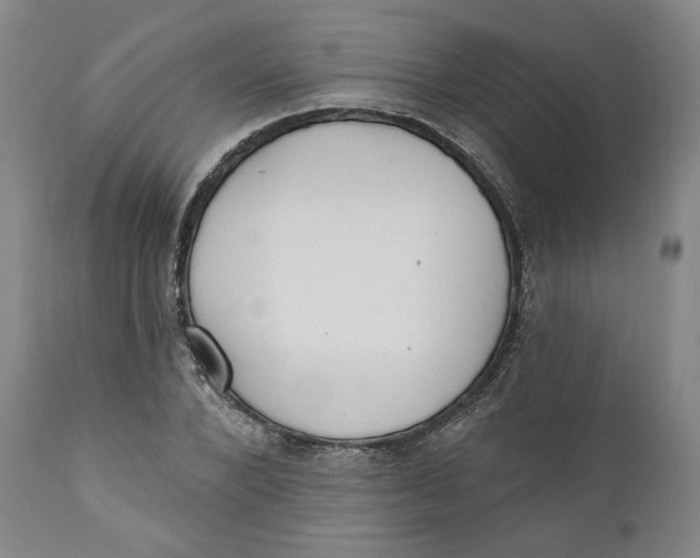 X0000110920880200907091455