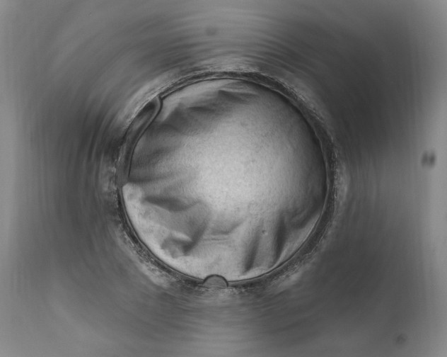 X0000110920881200907091455