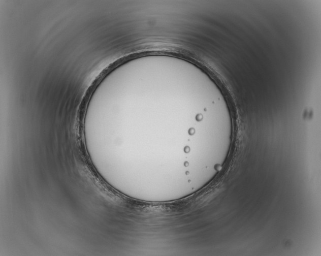 X0000110920883200907091455