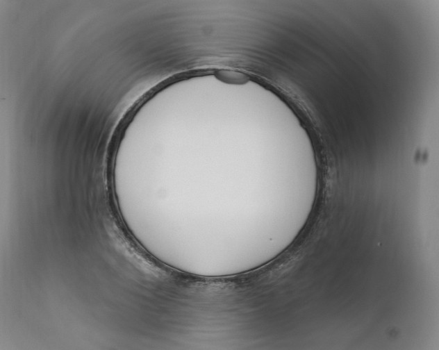 X0000110920884200907091455