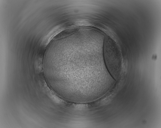 X0000110920889200907091454