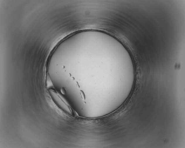 X0000110920892200907091454