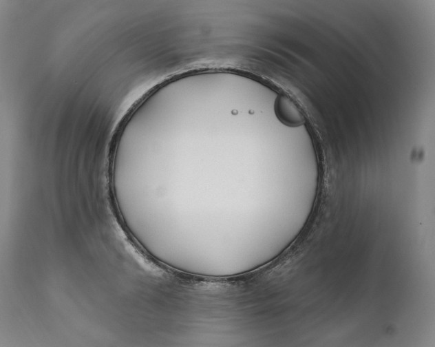 X0000110920894200907091454