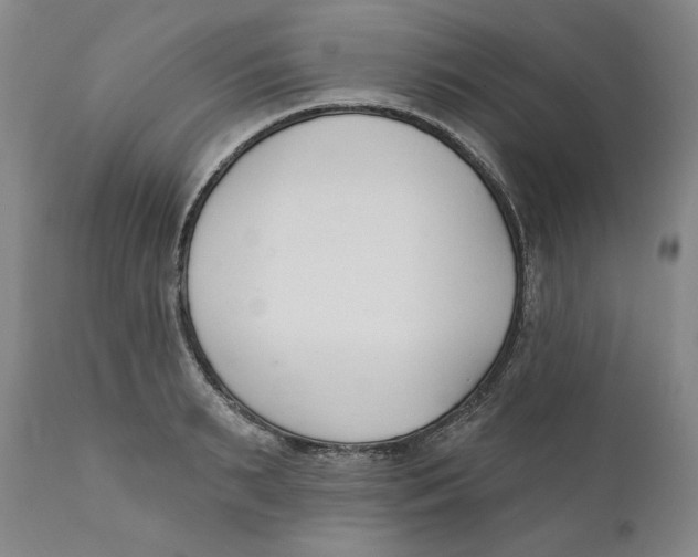 X0000110920895200907091454