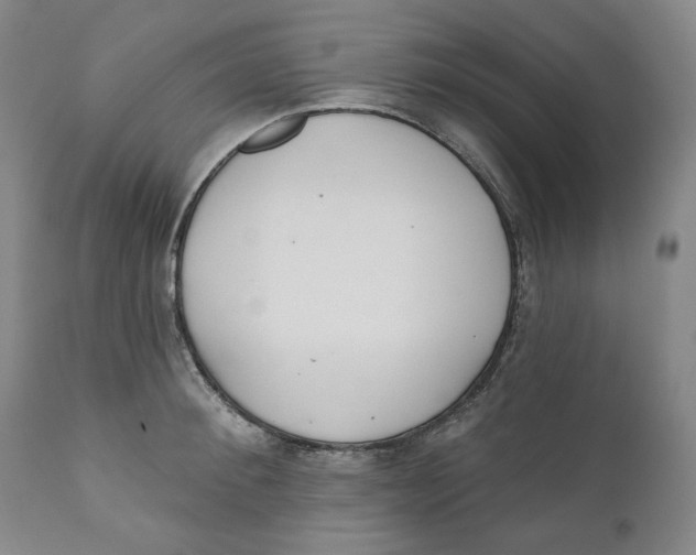 X0000110920900200907091454