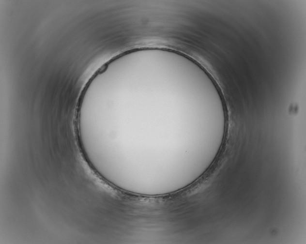 X0000110920901200907091454