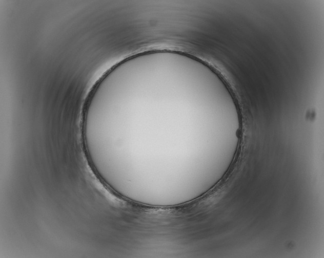 X0000110920902200907091454