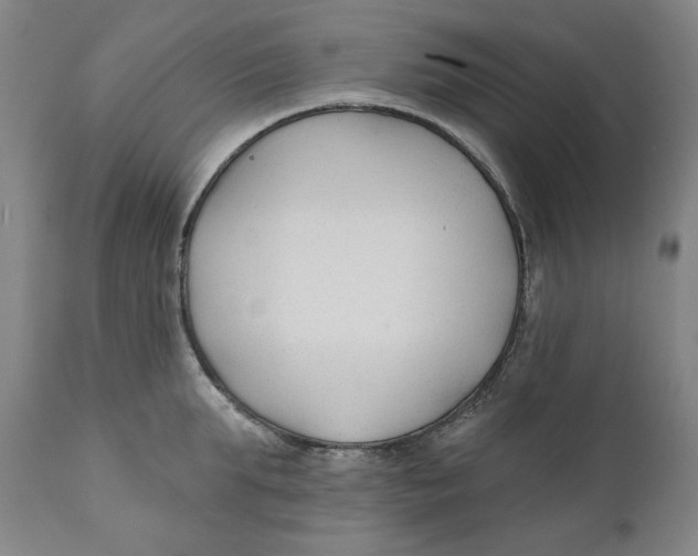 X0000110920903200907091454