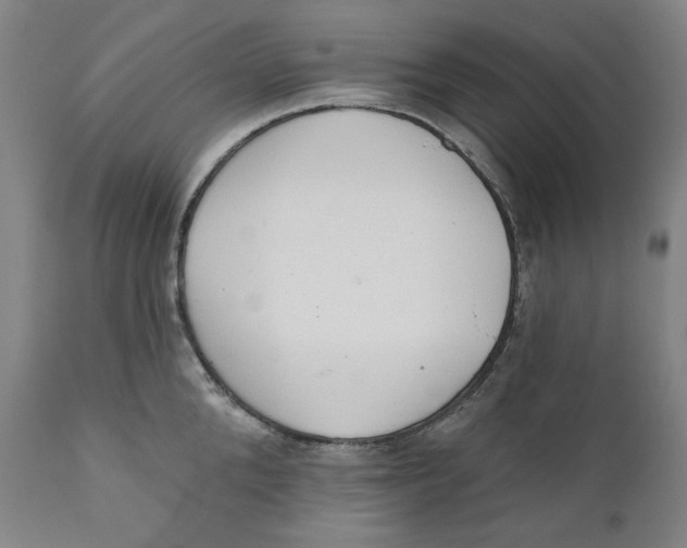 X0000110920904200907091454