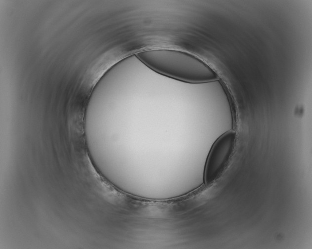 X0000110920905200907091454