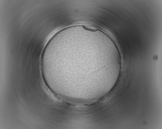 X0000110920907200907091454