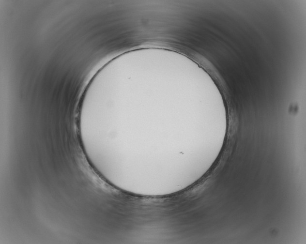X0000110920908200907091454