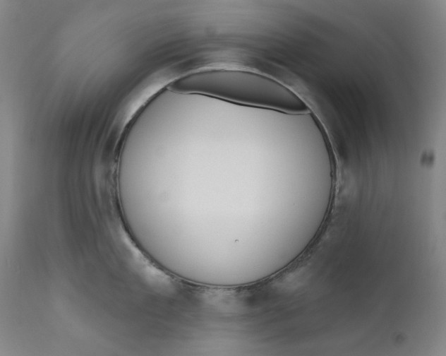 X0000110920909200907091454