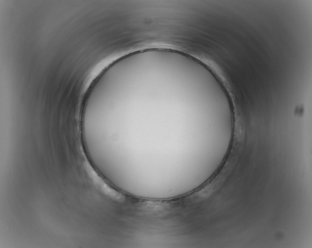 X0000110920910200907091454