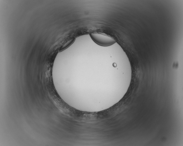 X0000110920914200907091453