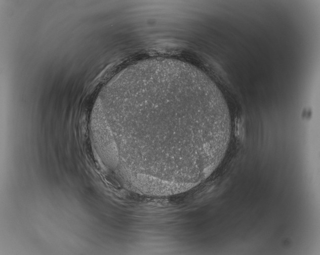 X0000110920915200907091453