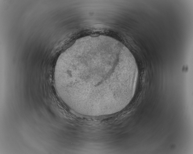 X0000110920916200907091454