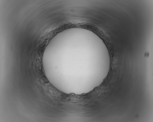 X0000110920917200907091454