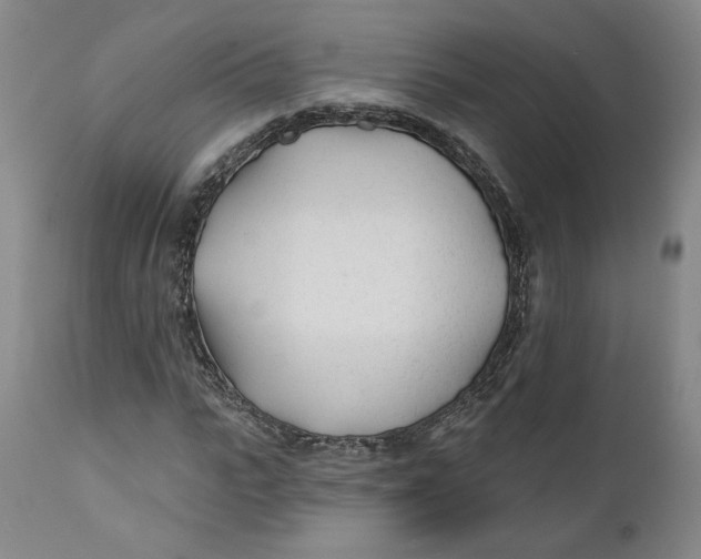X0000110920919200907091454
