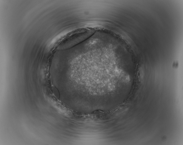 X0000110920920200907091454