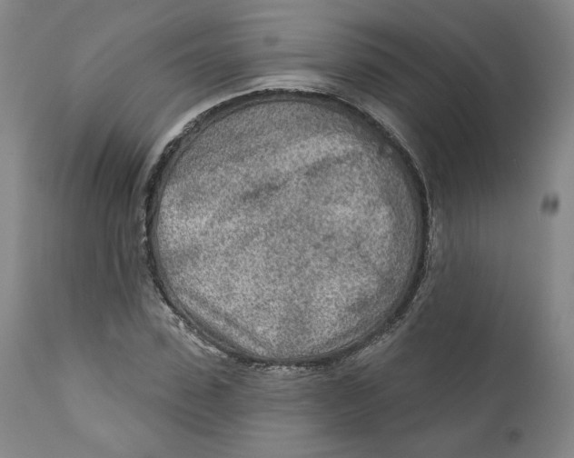 X0000110920923200907091454
