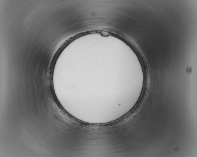 X0000110920924200907091454