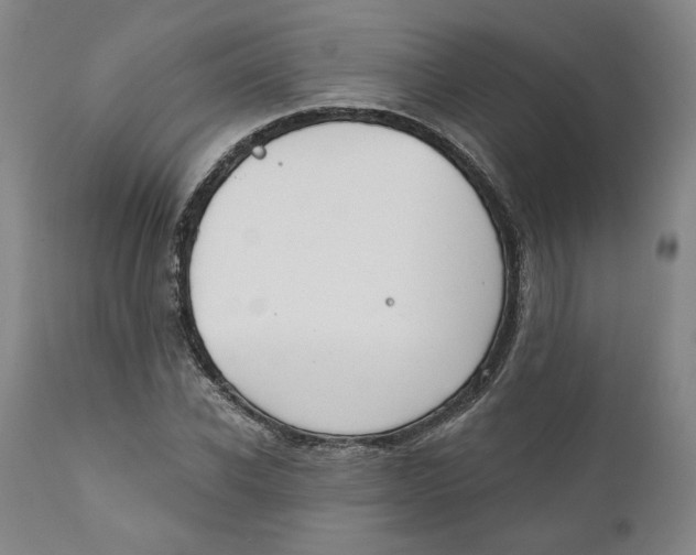 X0000110920926200907091454
