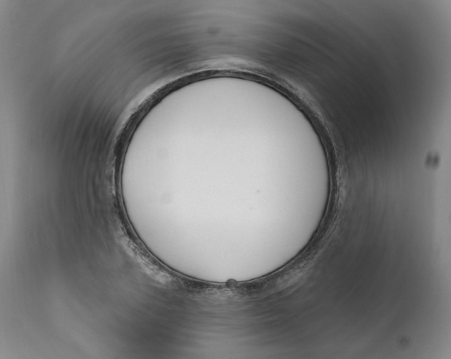 X0000110920931200907091454