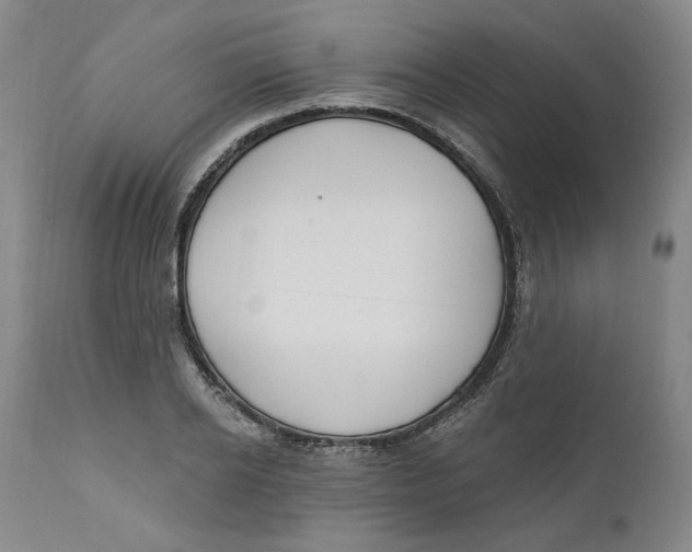 X0000110920934200907091454