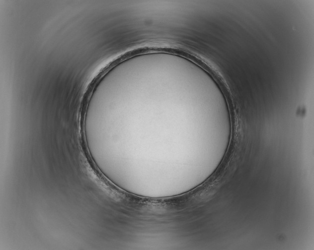 X0000110920935200907091454