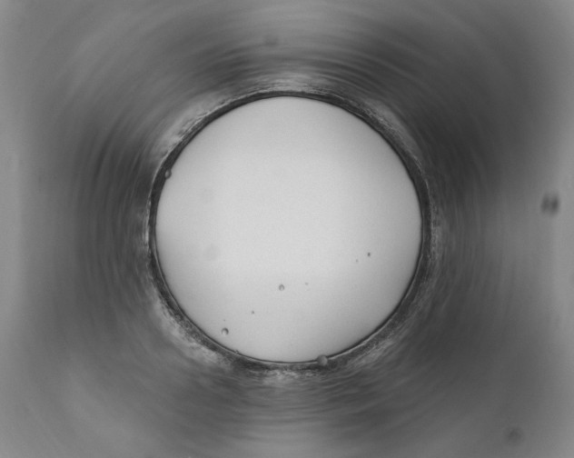 X0000110920938200907091454