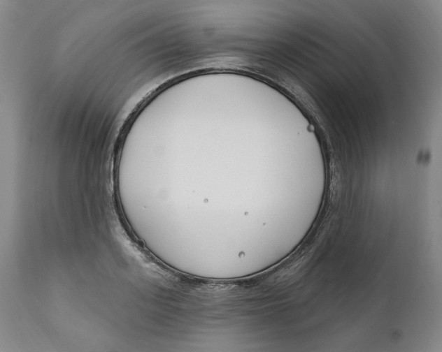 X0000110920939200907091454
