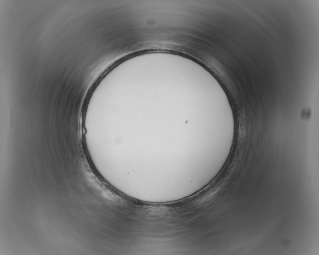 X0000110920940200907091454